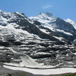 sehr schönes Breitbildfoto. Eiger, Mönch, Jungfrau und Silberhorn