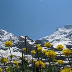 was für ein schönes Bild, links Mönch, rechts Jungfrau