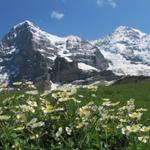 Eiger und Mönch einfach traumhaft