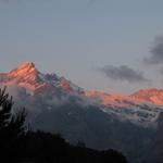 Blick zum Wetterhorn und Bärglistock