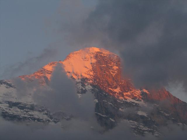 Blick zum Eiger