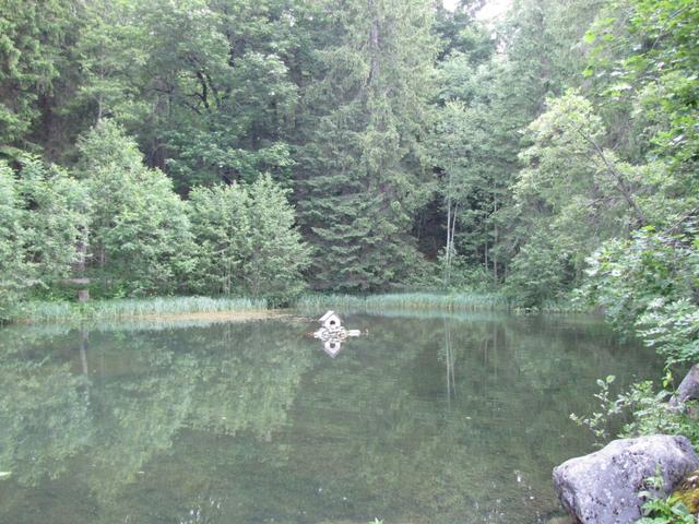 der Weg führt am kleinen Waldweiher vorbei