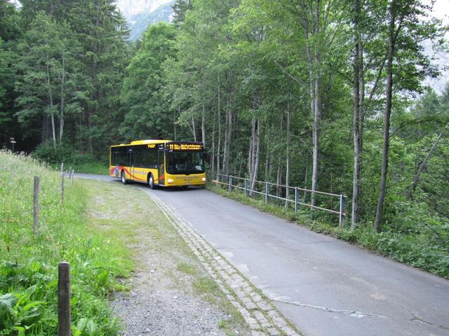 das Postauto von der Grossen Scheidegg her kommend kreuzt uns