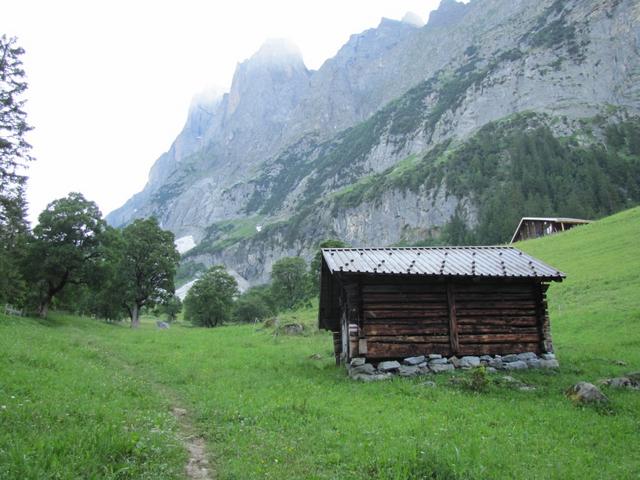 wir überquerten den Briggbach und die Schwarze Lütschine Punkt 1322 m.ü.M.