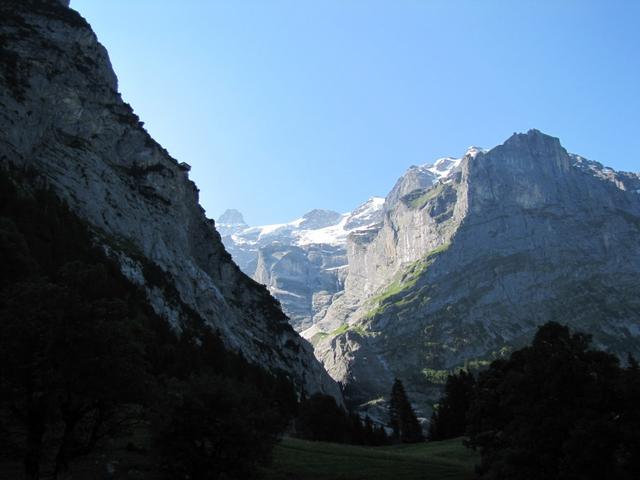 Blick in das Gletschertal vom Oberer Grindelwaldgletscher