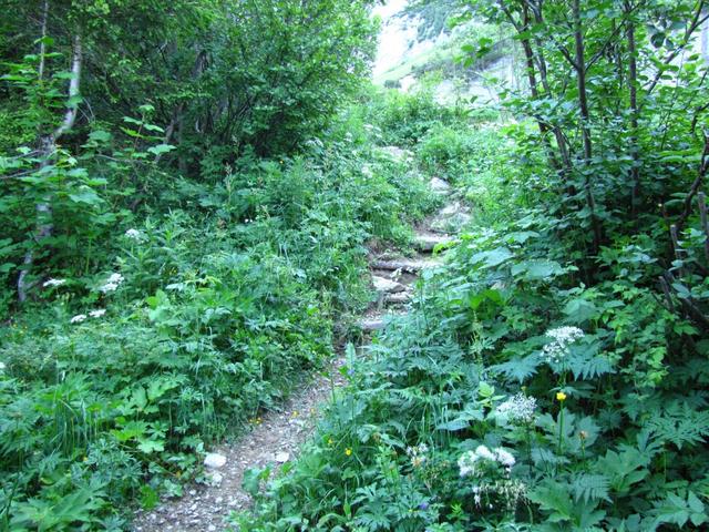 der Weg ist auf der ganzen Wanderung immer gut ersichtlich