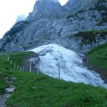 wir haben Punkt 1590 m.ü.M. erreicht. Grosse Altschneefelder liegen hier bis tief in den Sommer hinein