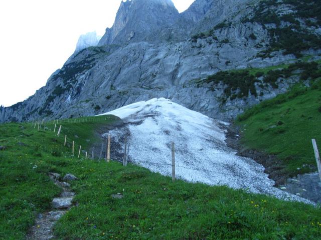 wir haben Punkt 1590 m.ü.M. erreicht. Grosse Altschneefelder liegen hier bis tief in den Sommer hinein