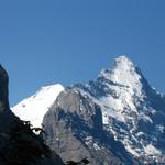 klar, sie bestaunt die mächtige Eigernordwand mit Eiger