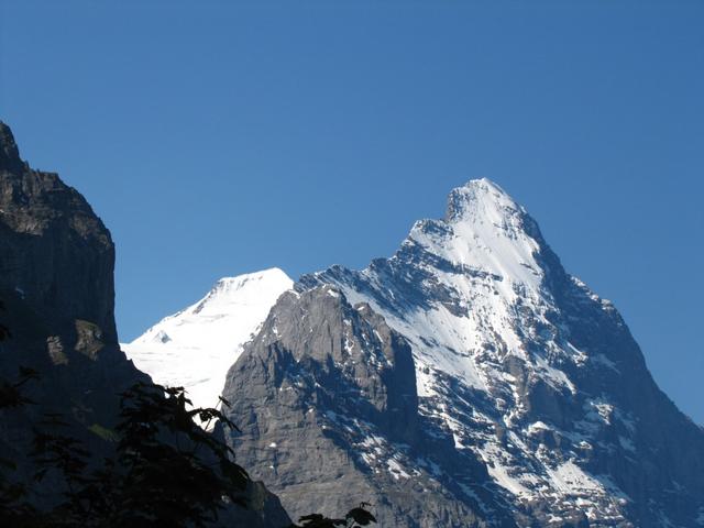 klar, sie bestaunt die mächtige Eigernordwand mit Eiger