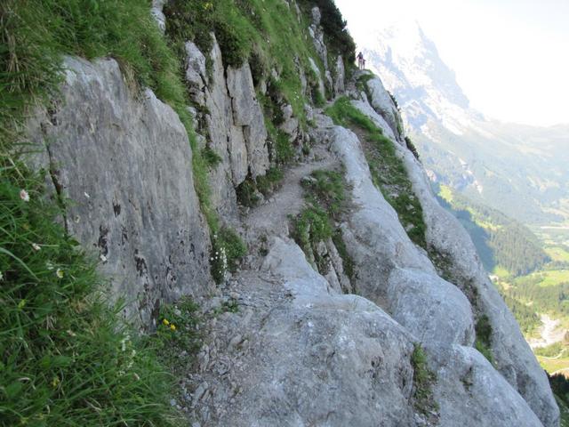 der "Ischpfad" durchquert die senkrechten Abstürzen des Wetterhorn