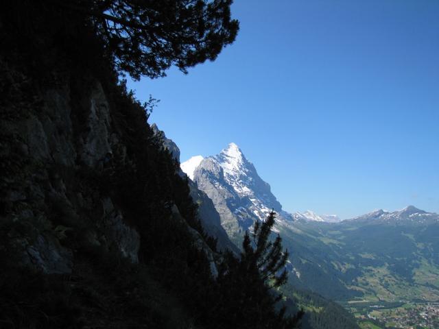 was für ein traumhafter Blick zum Eiger