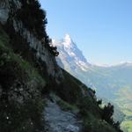 im Schatten gut ersichtlich, der Bergweg der uns nach Engi führen wird