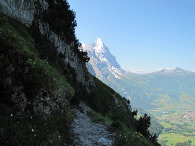 im Schatten gut ersichtlich, der Bergweg der uns nach Engi führen wird