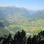 Tiefblick in die grüne Talmulde von Grindelwald