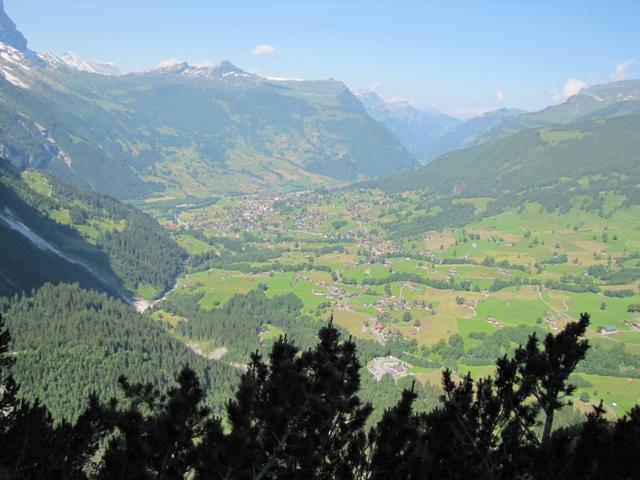 Tiefblick in die grüne Talmulde von Grindelwald