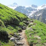 über einige Kehren führt der Bergweg uns weiter hinauf Richtung Punkt 2151 m.ü.M.