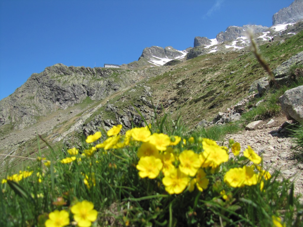 die Glecksteinhütte rückt näher