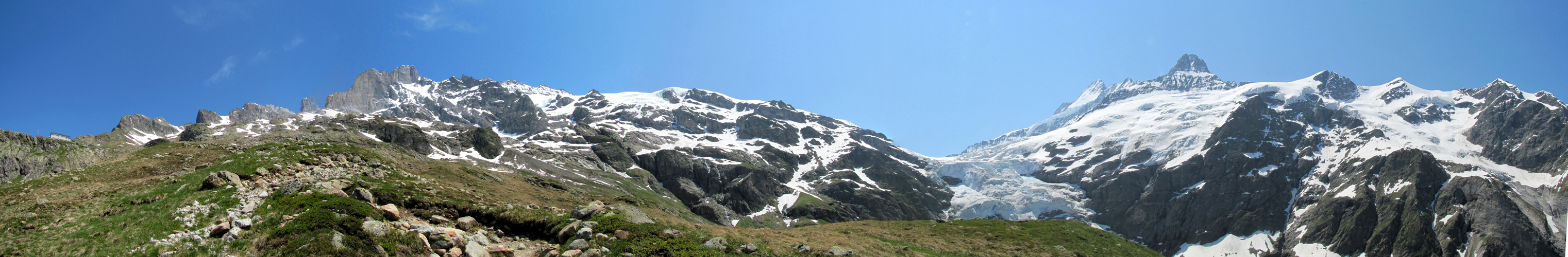 sehr schönes Breitbildfoto. Links Beesi Bergli, Oberer Grindelwaldgletscher, Schreckhorn, Nässihorn und Klein Schreckhorn