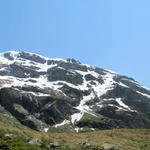 sehr schönes Breitbildfoto. Links Beesi Bergli, Oberer Grindelwaldgletscher, Schreckhorn, Nässihorn und Klein Schreckhorn