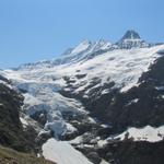 und immer wieder diese imposante Aussicht auf die Eiskatarakten des Oberen Grindelwaldgletscher und Schreckhorn