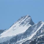 Blick auf das Schreckhorn