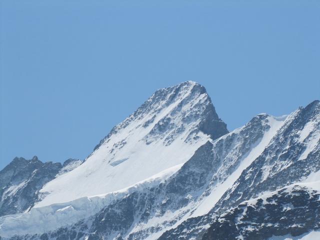 Blick auf das Schreckhorn