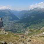 Blick auf die grüne Talmulde von Grindelwald