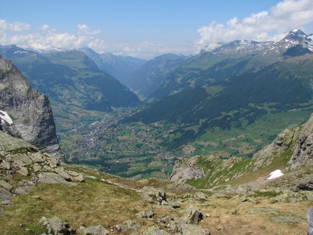 Blick auf die grüne Talmulde von Grindelwald