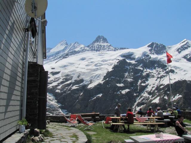 Blick von der Glecksteinhütte auf die Berner Eisriesen