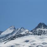 Schreckhorn, Nässihorn und Klein Schreckhorn