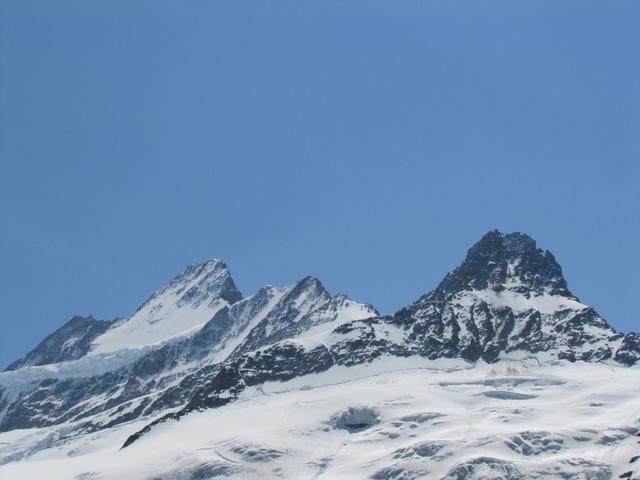 Schreckhorn, Nässihorn und Klein Schreckhorn