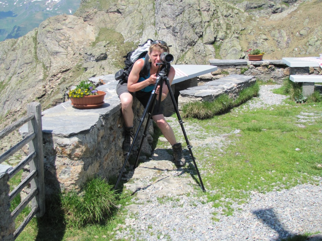 Mäusi sucht mit dem Feldstecher nach Steinwild