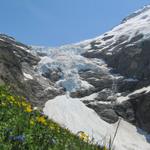 letzter Blick auf den Oberer Grindelwaldgletscher