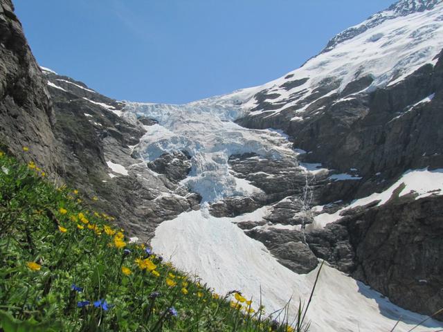 letzter Blick auf den Oberer Grindelwaldgletscher