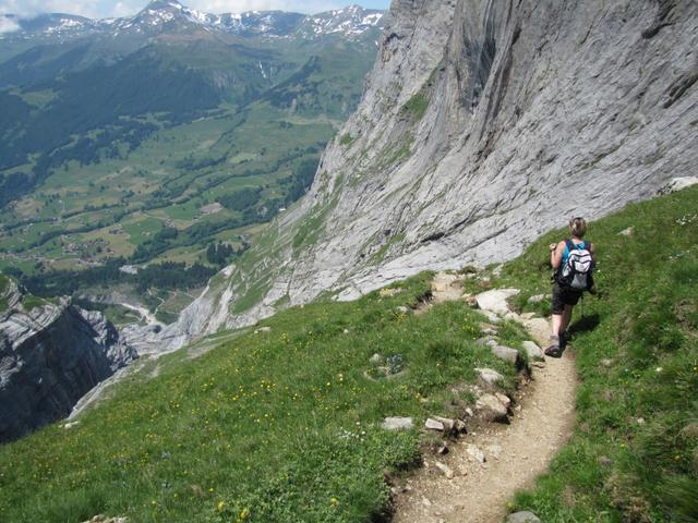 bei den Zybachs Platten