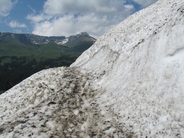 wir haben das grosse Altschneefeld erreicht