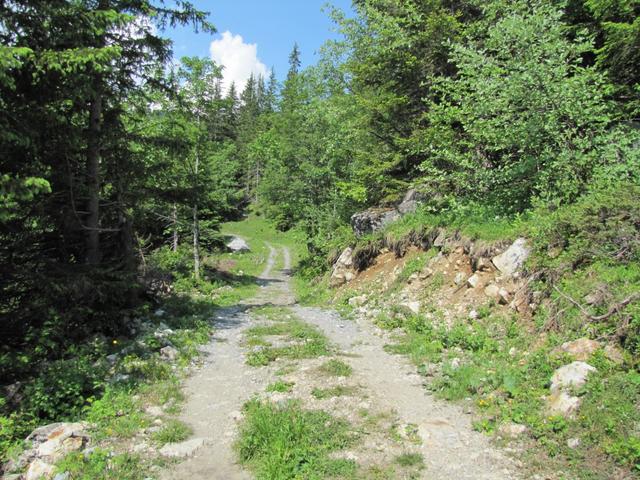 im undren Loichbiel. Auf einer breiten Alpstrasse wandern wir nun gemütlich zur Haltestelle Gleckstein