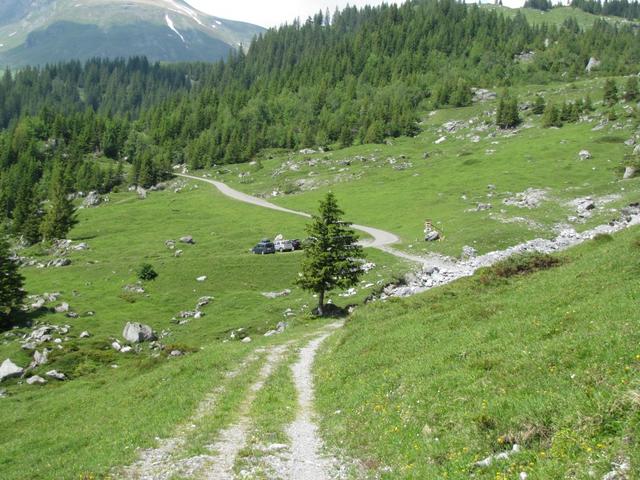 auf dem Weg zur Postautohaltestelle "Gleckstein" auf der Panoramastrasse Grindelwald-Grosse Scheidegg