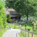 auf der Strasse Grosse Scheidegg-Grindelwald. Wir haben die Ischbodenhitta 1401 m.ü.M. erreicht