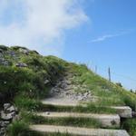 wir haben die Bergstation verlassen und laufen nun aufwärts auf den Rinderberg