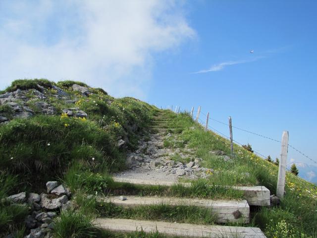 wir haben die Bergstation verlassen und laufen nun aufwärts auf den Rinderberg