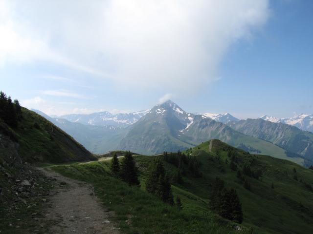 unterhalb Punkt 2015 m.ü.M. mit Blick auf den Giferspitz. Dort oben waren wir auch schon