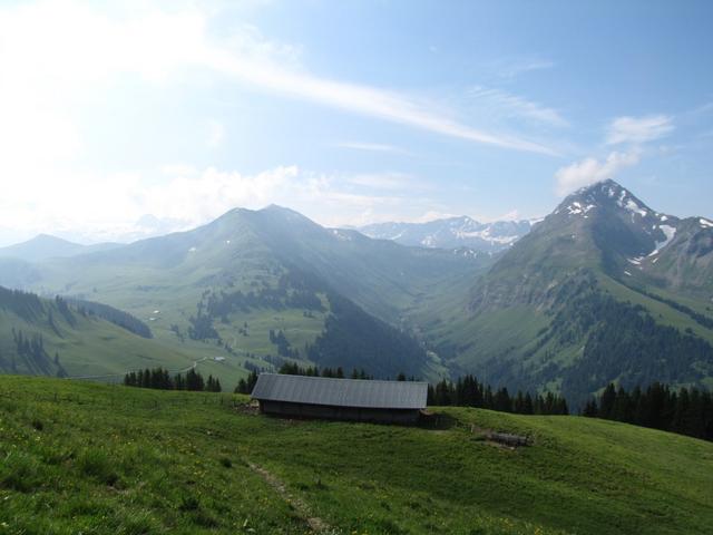 kurz nach Punkt 1939 m.ü.M. auf der Alp Parwenge mit Blick auf Wistätthore, Turbachtal und Giferspritz