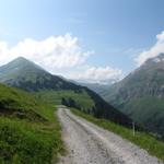 weiter geht unsere Wanderung zum Rüwlissepass