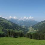 Blick auf das Turbachtal und Gstaad