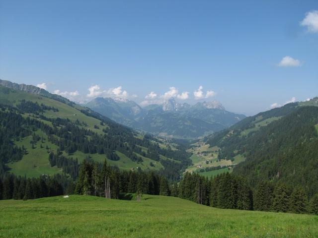 Blick auf das Turbachtal und Gstaad