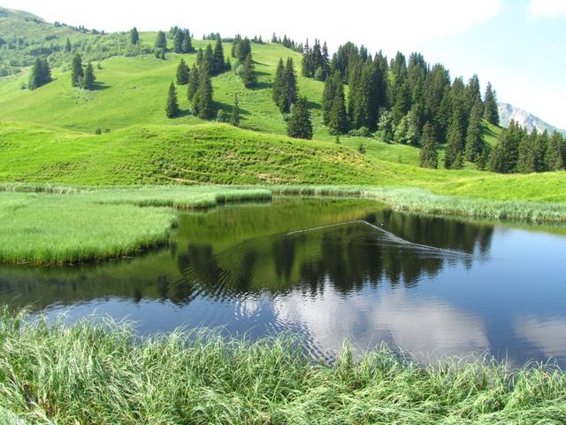 wir haben den kleinen Rüwlisee auf 1710 m.ü.M. erreicht