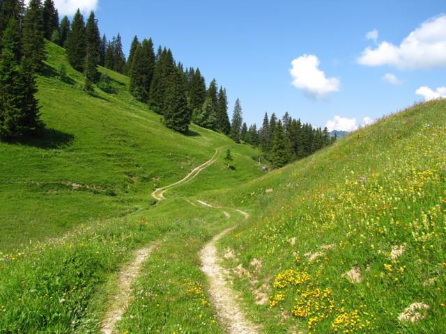 auf dem Weg zum Obere Zwitzeregg