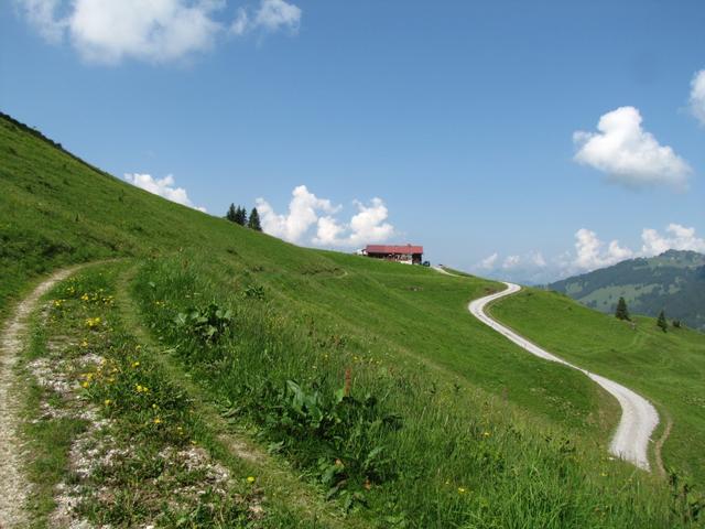 Blick zum Bauernhaus auf Obere Zwitzeregg